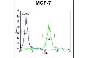 Flow cytometric analysis of MCF-7 cells (right histogram) compared to a negative control cell (left histogram). (AVPI1 抗体  (N-Term))