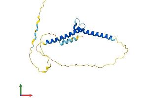 Protein Structure (PS) image for Achaete-Scute Complex Homolog 2 (ASCL2) (AA 1-193) protein (His tag) (ABIN7552329)