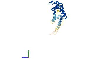 Protein Structure (PS) image for ADP-Ribosylation Factor-Like 2 Binding Protein (ARL2BP) (AA 1-163) protein (His tag) (ABIN7560944)