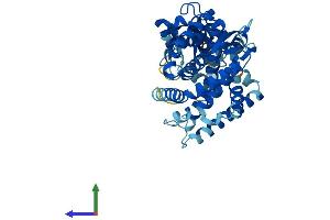 Protein Structure (PS) image for Cytochrome P450, Family 20, Subfamily A, Polypeptide 1 (CYP20A1) (AA 1-462) protein (His tag) (ABIN7558721)