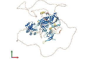 AlphaFold protein structure predicition of Mouse Recombinant Plekhm2 Protein, UniprotID Q80TQ5 (PLEKHM2 Protein (AA 1-1018) (His tag))