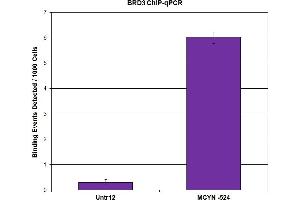 BRD3 antibody (pAb) tested by ChIP.