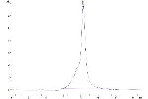 The purity of Human DSG-2 is greater than 95 % as determined by SEC-HPLC.