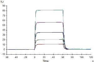 Surface Plasmon Resonance (SPR) image for CD226 (CD226) (AA 19-247) protein (His-Avi Tag) (ABIN7274455)
