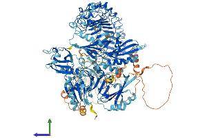 Protein Structure (PS) image for Flightless I Homolog (FLII) (AA 1-1271) protein (His tag) (ABIN7565096)