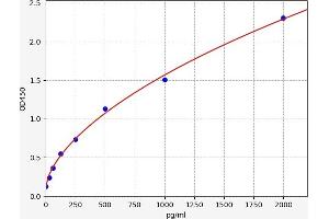 Typical standard curve (MBP/MBL ELISA 试剂盒)