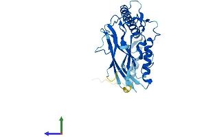 Protein Structure (PS) image for ATPase, Na+/K+ Transporting, beta 3 Polypeptide (ATP1B3) (AA 1-279) protein (His tag) (ABIN7552481)