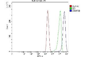 Flow Cytometry analysis of CACO-2 cells using anti-DNMT3B antibody (ABIN7601041). (DNMT3B 抗体  (AA 271-853))
