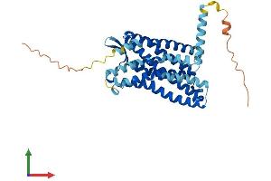AlphaFold protein structure predicition of Human Recombinant CCR1 Protein, UniprotID P32246