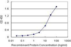 Sandwich ELISA detection sensitivity ranging from 1 ng/mL to 100 ng/mL. (MBD5 (人) Matched Antibody Pair)