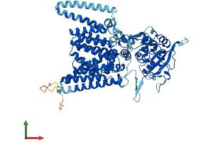 Protein Structure (PS) image for STT3, Subunit of The Oligosaccharyltransferase Complex, Homolog A (STT3A) (AA 1-705) protein (His tag) (ABIN7563282)
