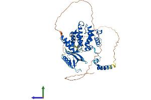 Protein Structure (PS) image for rho GTPase Activating Protein 15 (ARHGAP15) (AA 1-481) protein (His tag) (ABIN7558483)
