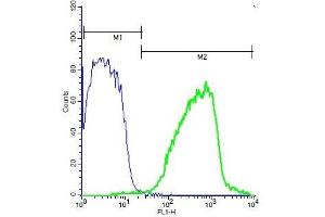 Mouse brain probed with Rabbit Anti-RSK2 (Tyr529) Polyclonal Antibody, Unconjugated (ABIN745283) (green) at 1:100 for 40 minutes followed by a FITC conjugated secondary compared to control cells (blue). (RPS6KA3 抗体  (pTyr529))