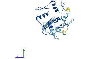 AlphaFold protein structure predicition of Human Recombinant ZNF137P Protein, UniprotID P52743