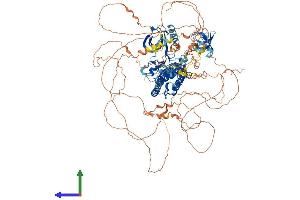 Protein Structure (PS) image for Mitogen-Activated Protein Kinase Kinase Kinase 9 (MAP3K9) (AA 1-1077) protein (His tag) (ABIN7563697)