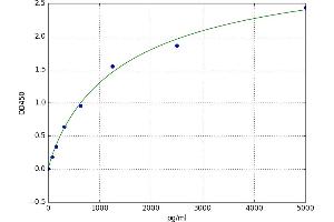 A typical standard curve (MAPK15 ELISA 试剂盒)