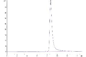 Size-exclusion chromatography-High Pressure Liquid Chromatography (SEC-HPLC) image for Complement Factor D (CFD) (AA 26-253) protein (His tag) (ABIN7274334)
