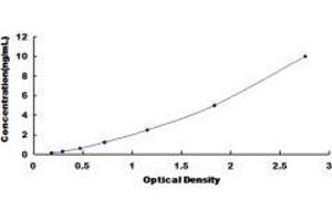 Typical standard curve (SUOX ELISA 试剂盒)