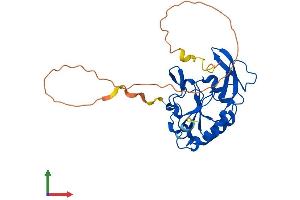 Protein Structure (PS) image for CTD Small Phosphatase-Like Protein (CTDSPL) (AA 1-276) protein (His tag) (ABIN7546814)