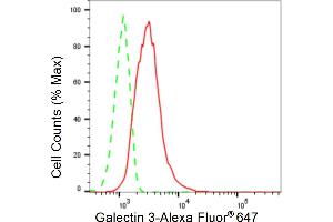 Flow cytometric analysis of Galectin 3 expression in C2C12 cells using Galectin 3 antibody (ABIN7798688), 1:2,000).