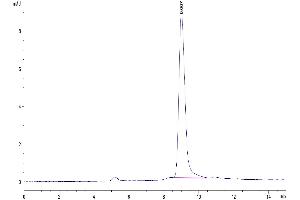Size-exclusion chromatography-High Pressure Liquid Chromatography (SEC-HPLC) image for Prostate Stem Cell Antigen (PSCA) (AA 21-95) protein (Fc Tag) (ABIN7275412)