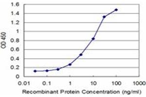 Detection limit for recombinant GST tagged SNAI2 is approximately 0. (SLUG 抗体  (AA 69-132))
