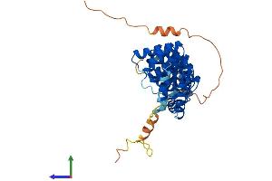 AlphaFold protein structure predicition of Human Recombinant PTCD2 Protein, UniprotID Q8WV60 (PTCD2 Protein (AA 1-388) (His tag))