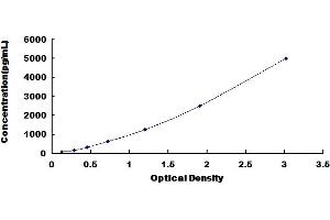 Typical Standard Curve for Mouse QSOX1 ELISA. (QSOX1 ELISA 试剂盒)