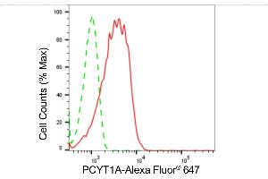 Flow cytometric analysis of PCYT1A expression in HepG2 cells using PCYT1A antibody (ABIN7799789), 1:2,000). (Recombinant PCYT1A 抗体)