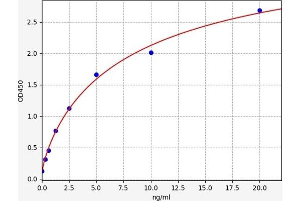 Plakophilin 1 ELISA 试剂盒