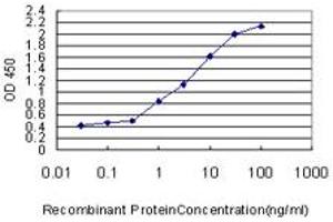 Detection limit for recombinant GST tagged SPIRE1 is approximately 0. (SPIRE1 抗体  (AA 482-583))