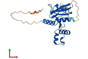 Protein Structure (PS) image for Suppressor of Cytokine Signaling 2 (SOCS2) (AA 1-198) protein (His tag) (ABIN7562371)