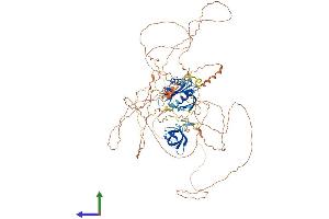 AlphaFold protein structure predicition of Human Recombinant MAPK8IP2 Protein, UniprotID Q13387