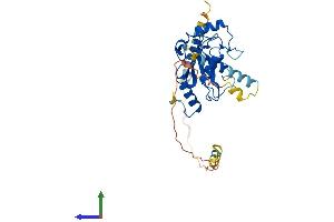 Protein Structure (PS) image for Ubiquitin-Conjugating Enzyme E2, J1, U (UBE2J1) (AA 1-318) protein (His tag) (ABIN7544862)