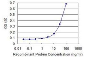 ELISA image for anti-Topoisomerase (DNA) III beta (TOP3B) (AA 1-862) antibody (ABIN563890)