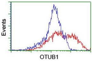 HEK293T cells transfected with either RC210648 overexpress plasmid (Red) or empty vector control plasmid (Blue) were immunostained by anti-OTUB1 antibody (ABIN2455953), and then analyzed by flow cytometry. (OTUB1 抗体)