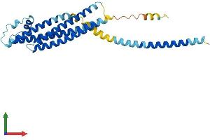 Protein Structure (PS) image for Syntaxin 1B (STX1B) (AA 1-288) protein (His tag) (ABIN7546402)