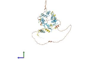 Protein Structure (PS) image for FLT3-Interacting Zinc Finger 1 (FIZ1) (AA 1-500) protein (His tag) (ABIN7556235)