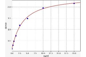 Typical standard curve (DMBT1 ELISA 试剂盒)