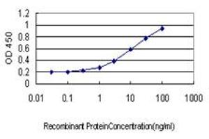 Detection limit for recombinant GST tagged TXNL1 is approximately 1ng/ml as a capture antibody. (TXNL1 抗体  (AA 190-289))