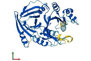 AlphaFold protein structure predicition of Mouse Recombinant Hpdl Protein, UniprotID Q8K248