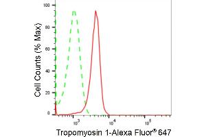 Flow cytometric analysis of Tropomyosin 1 expression in HepG2 cells using Tropomyosin 1 antibody (ABIN7800651), 1:2,000). (Recombinant Tropomyosin 抗体)
