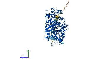 Protein Structure (PS) image for Guanine Nucleotide Binding Protein, alpha Stimulating, Olfactory Type (GNAL) (AA 1-381) protein (His tag) (ABIN7548049)
