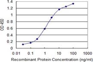 Detection limit for recombinant GST tagged SMAD7 is 0. (SMAD7 抗体  (AA 160-260))