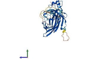 AlphaFold protein structure predicition of Mouse Recombinant Poldip2 Protein, UniprotID Q91VA6