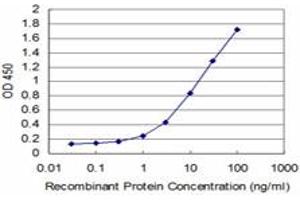 Detection limit for recombinant GST tagged HD is approximately 0. (Huntingtin 抗体  (AA 81-190))