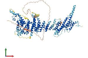 Protein Structure (PS) image for Nucleoporin 107kDa (NUP107) (AA 1-926) protein (His tag) (ABIN7564352)