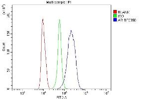 Flow Cytometry analysis of RAW264. (Androgen Receptor 抗体  (AA 629-920))