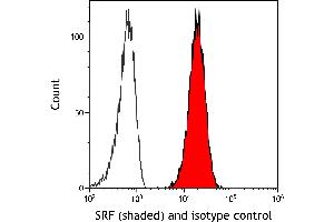 Flow Cytometry (FACS) image for anti-Serum Response Factor (SRF) (AA 25-75) antibody (ABIN7795720)