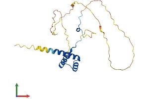 AlphaFold protein structure predicition of Mouse Recombinant Hoxb6 Protein, UniprotID P09023